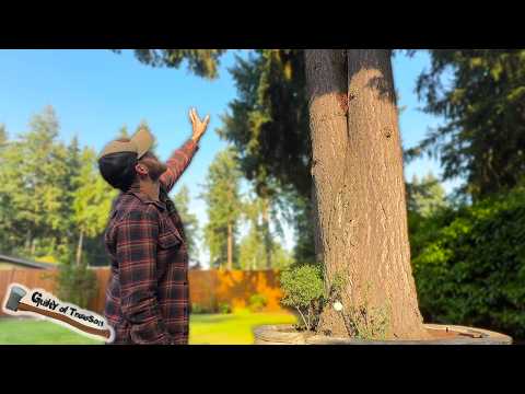 This TREE JOB almost took Randy out!!