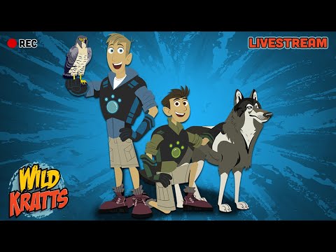 🔴 LIVE | Wild Kratts Winter Holiday Full Episode Marathon ❄️🦒