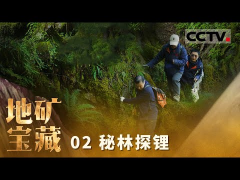 《自然中国之地矿宝藏》02 秘林探锂:牛粪也能成为解锁宝藏的钥匙 一同解锁“白色石油”的地下密码【CCTV纪录】