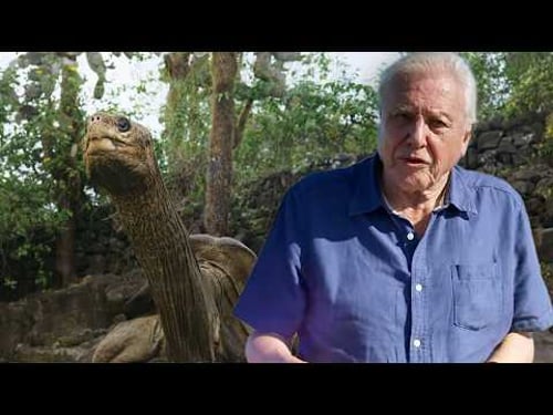 With David Attenborough: Nature’s Ingenious Ways to Survive (4K Documentary)