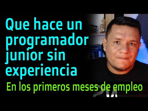 Que hace un programador junior sin experiencia en su primer empleo y primeros meses | Luisito Habla