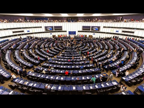 EU-Parlament: phoenix europatalk & Debatte zur europäischen Verteidigungsindustrie | 25.11.2025