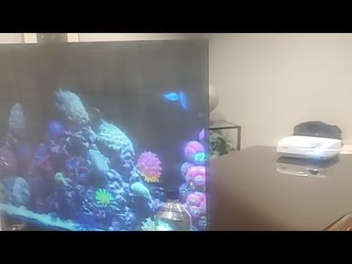 Testing a new Transparent screen