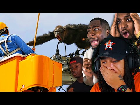 THE WORLDS MOST DANGEROUS ZOO ANIMALS (Casual Geographic) w/ @InternetCity