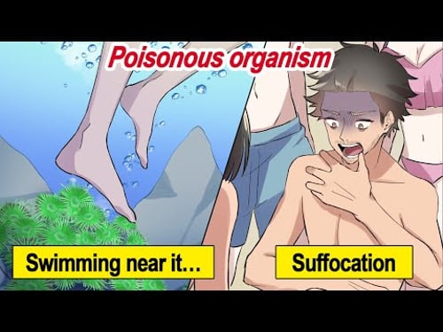 【Manga】The world’s most poisonous organism results in difficulty breathing just by swimming near it