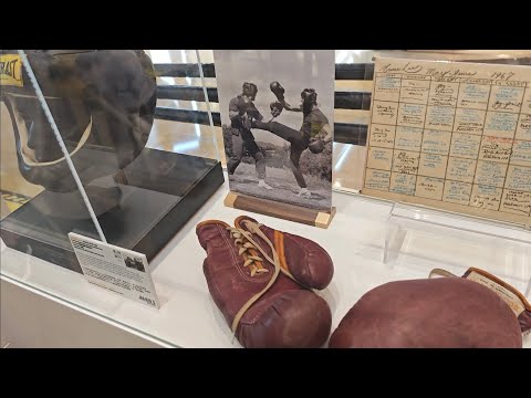 Bruce Lee Exhibition in details