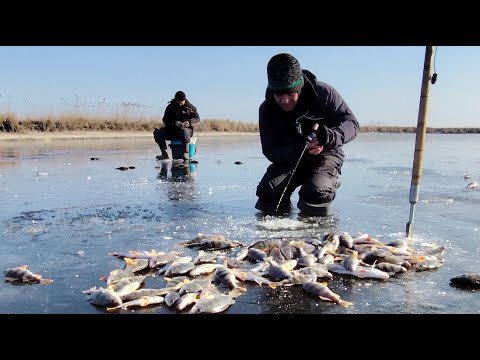 НАЛОВИЛИ МІШОК ОКУНІВ НА МІКРОН БАЛАНСИР. Зимова рибалка на окуня