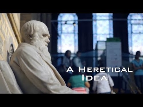 Revolutionary: Michael Behe and the Mystery of Molecular Machines