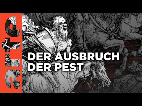 Der schwarze Tod - 1347 | Zahlen schreiben Geschichte Reupload | ARTE