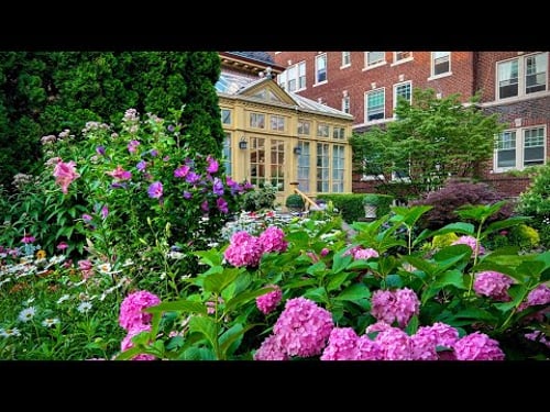 Mother & daughters built a garden beyond imagination