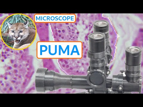 Introduction to PUMA Microscopy (the advanced 3D printed DIY microscope)