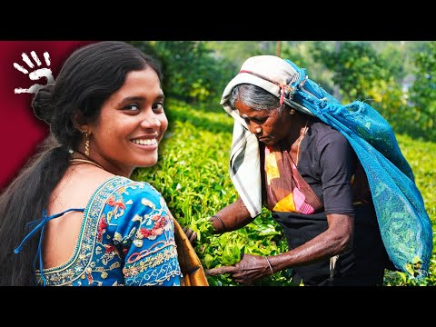 SRI LANKA: On the Secret Road of Tea – Civilization – Documentary