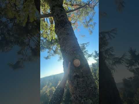 100% should have put a rope in this one, I thought for sure I had it!