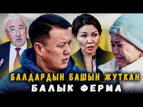 Балдардын башын жуткан балык ферма | 1-БӨЛҮМ | Улукбек Карыбек уулу