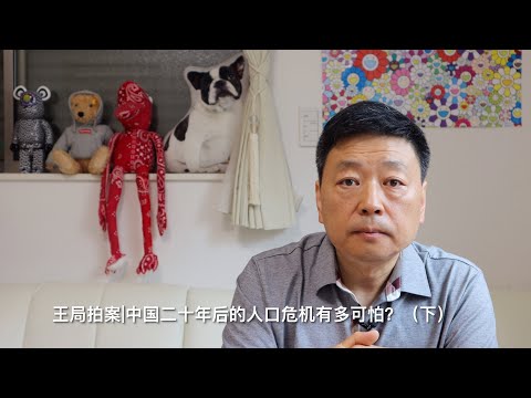 王局拍案|中国二十年后的人口危机有多可怕?220712(下)How terrible will China's demographic situation be in twenty years?(2)