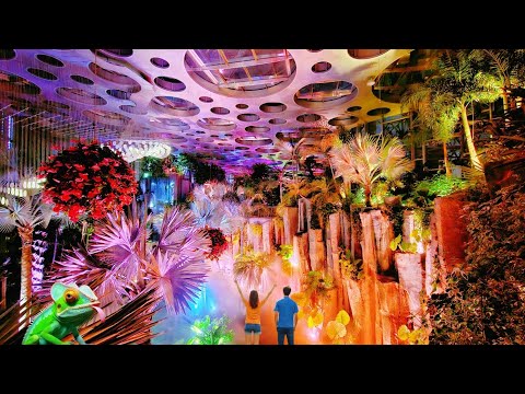 亚洲第一的科幻花园究竟有多神奇?中国的异星基地~隐藏在都市中的森林秘境~梦幻般的上海温室花园夜游记