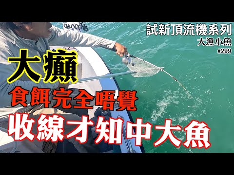 大癲! 食餌完全唔覺 收絲才知中大魚┃試新頂流機系列┃大漁小魚#299┃ c中文字幕