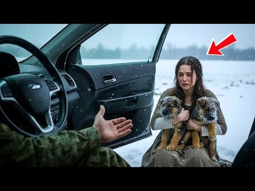 A Navy SEAL Found a Poor Woman and Her Puppies in a Blizzard — What Followed Was Heartbreaking