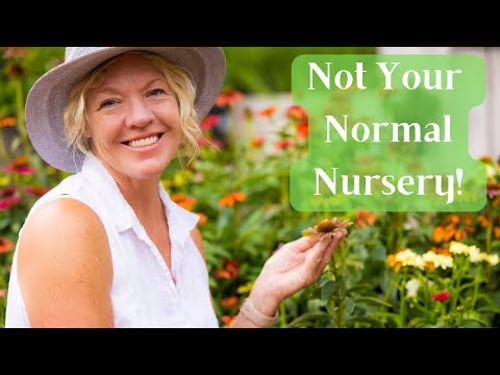 Small Scale Homestead Nursery | We Do Things Different