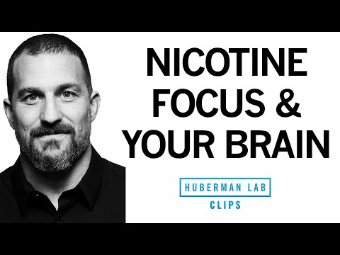 How Nicotine Impacts Your Brain & Enhances Focus | Dr. Andrew Huberman