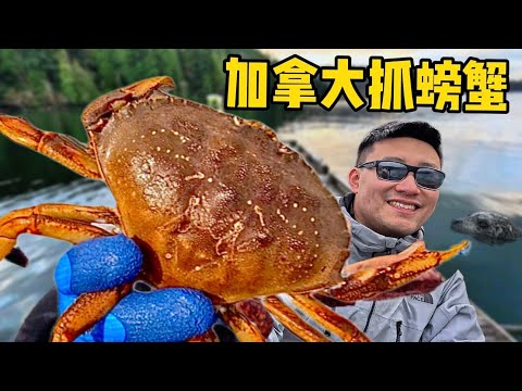 职业钓鱼佬硬刚海豹,能否成功钓到珍宝蟹?| 赶海 | 螃蟹 | 海鲜 | 美食 | 加拿大