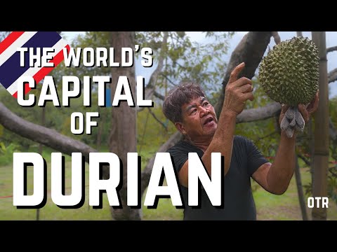 How One Thai Province Supplies the Planet with Durian