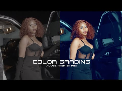 Color Grading in Adobe Premiere Pro for Beginners 2024