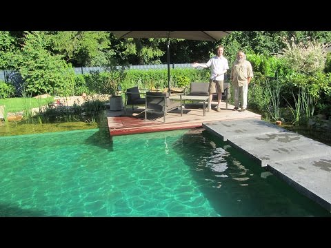 Schwimmteich Planung Bau