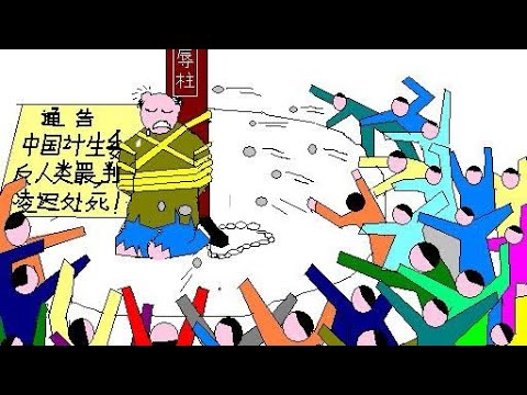 中国人口危机:一场不可逆转的崩溃