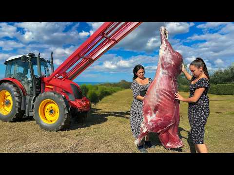 Roasted a Whole Bull in a Tandoor for a Celebration! Had to Call a Tractor!