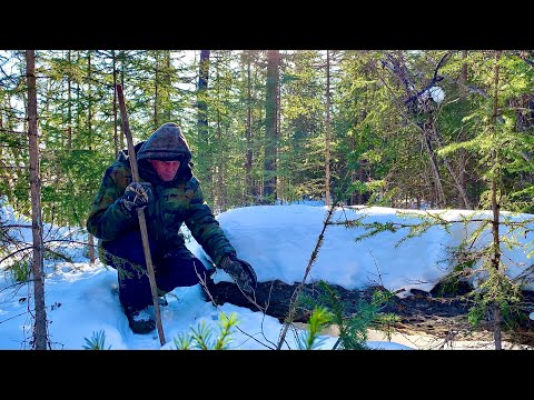 Сети и петли для пропитания (30 лет одиночества 73 серия)