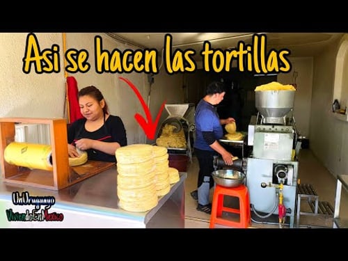 Cómo se hacen las tortillas de maíz en una tortillería? (Veremos el proceso paso a paso)
