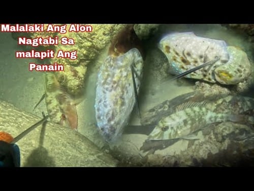 Episode 635 Malalaki Ang Alon Nagtabi Sa malapit Ang Colambutan night spearfishing Philippines