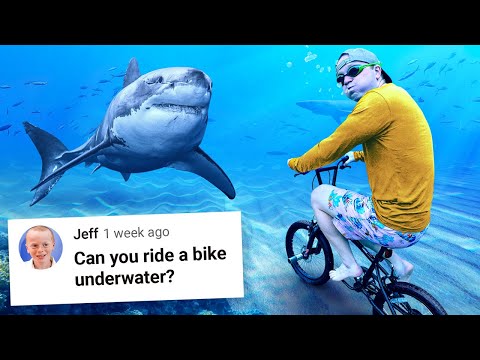 Busting 50 Myths In 50 Hours