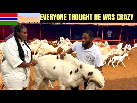 He gave up everything in the UK to raise sheep in the Gambia 🇬🇲 here is why