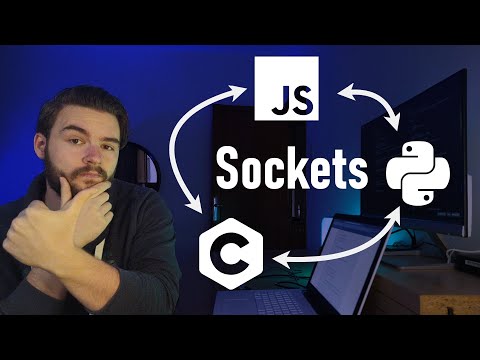 ¿Cómo se comunican los programas escritos en lenguajes distintos?