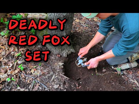 DEADY RED FOX SET || {COMPLETE HOW TO}
