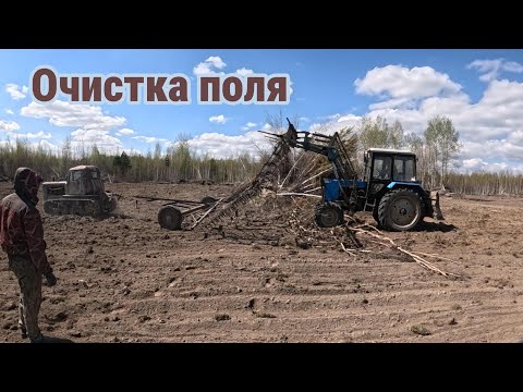 Подготовка поля к посеву после раскорчёвки. Уборка палок зубовыми боронами.