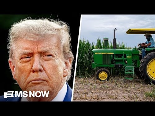 Trump's policies are 'ruining American agriculture': Soybean farmer