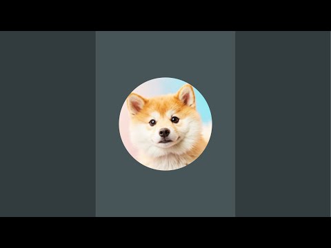 캄보디아민지 요이땅