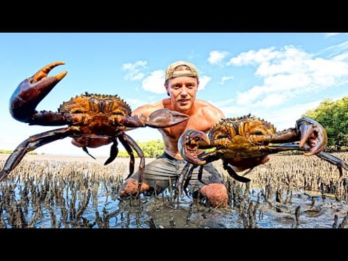 GIANT CRAB HUNT & Spearfishing WRECKS For Food