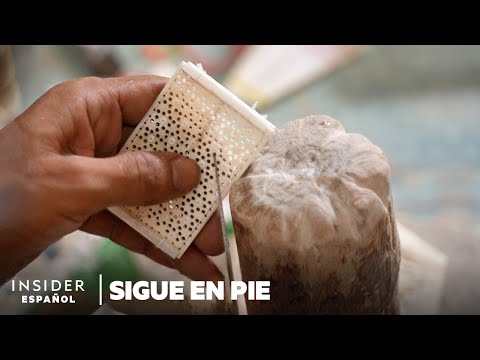 Cómo los talladores de huesos de la India mantienen vivo un arte prehistórico | Sigue en pie