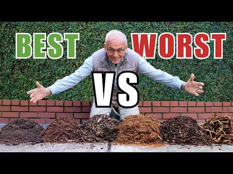 BEST vs WORST Mulch for Your Garden, Explained