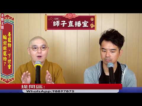 【師子直播室】⚠️「養寵物,下世會輪迴做動物?」🤯📸(2025.07.24)#法忍法師 #師子學堂 #師子直播室 #林子謙 #佛教 #業 #寵物 #輪迴 #因果 #執著