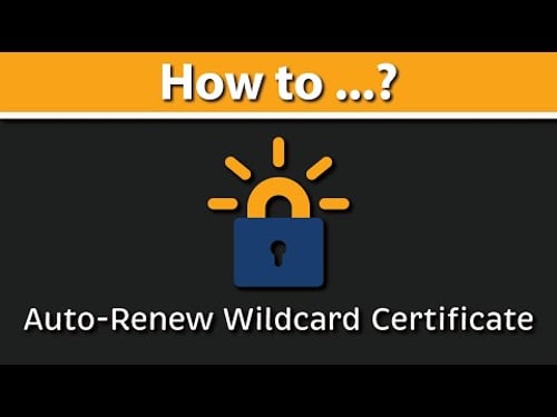 How to Setup Auto-Renew for Letsencrypt WILDCARD Certificate with DNS challenge? acme-dns | certbot