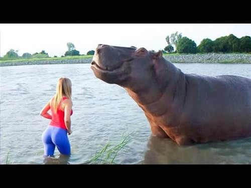 Animals Reunited With Owners After Years !