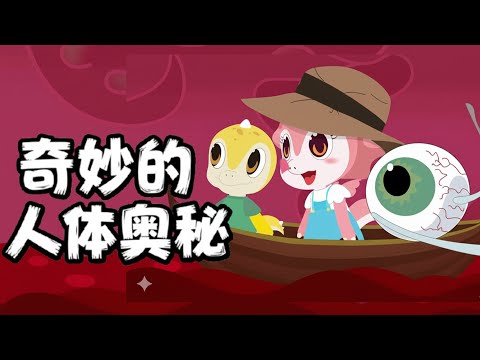 【神奇的人体奥秘】