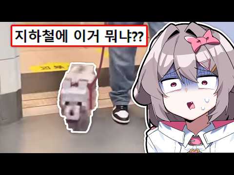 역대 지하철 민폐 빌런 모음ㄷㄷ..