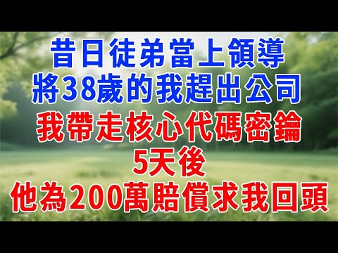 昔日徒弟當上領導,將38歲的我趕出公司,我帶走核心代碼密鑰,5天後他為200萬賠償求我回頭!#人生感悟 #故事分享 #故事頻道 #打脸 #职场 #原创视频