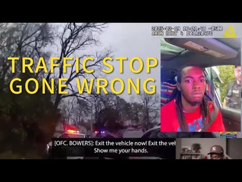 Jacksonville Officers Smash Window and Punch Driver - Legal or Excessive? | Lawyer Reacts